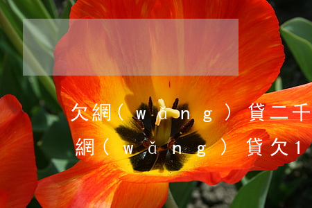 欠網(wǎng)貸二千發(fā)律師函(網(wǎng)貸欠1000發(fā)律師函了)