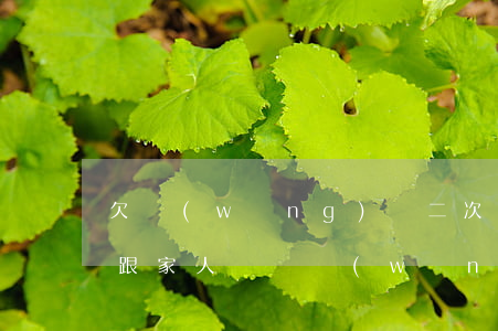 欠網(wǎng)貸二次怎么跟家人說(怎么跟家人說還網(wǎng)貸)