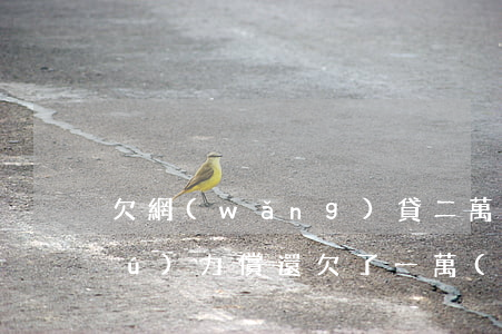 欠網(wǎng)貸二萬(wàn)無(wú)力償還(欠了一萬(wàn)多的網(wǎng)貸無(wú)力償還)