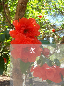 欠網(wǎng)貸二萬多怎么辦(欠了二萬多網(wǎng)貸不知道該怎么辦了)