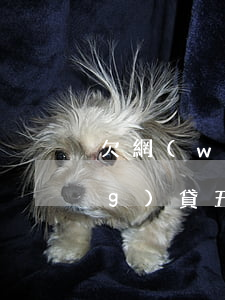 欠網(wǎng)貸五六年了(欠網(wǎng)貸五六年了,還會(huì)起訴嗎)