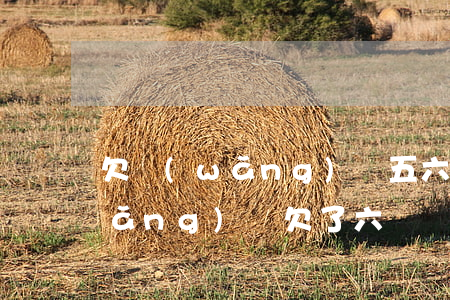 欠網(wǎng)貸五六萬如何翻身(網(wǎng)貸欠了六萬 應(yīng)該怎么辦)