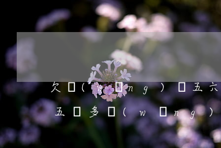 欠網(wǎng)貸五六萬怎么跟家里說(欠五萬多網(wǎng)貸和父母說)