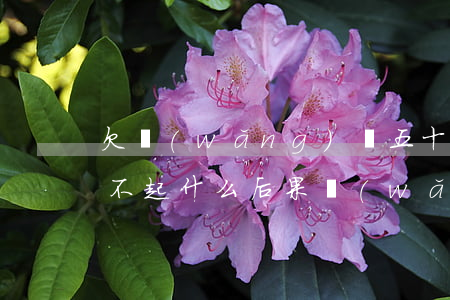 欠網(wǎng)貸五十多萬(wàn)還不起什么后果(網(wǎng)貸欠款50萬(wàn)還不上)