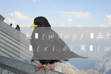 欠網(wǎng)貸五十萬(wàn)怎么協(xié)商(網(wǎng)貸欠五千)