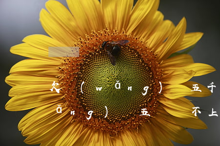 欠網(wǎng)貸五千元會判刑嗎(網(wǎng)貸五萬還不上會判刑嗎)