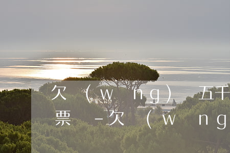欠網(wǎng)貸五千塊錢會收到法院傳票嗎-欠網(wǎng)貸五千元法院受理嗎