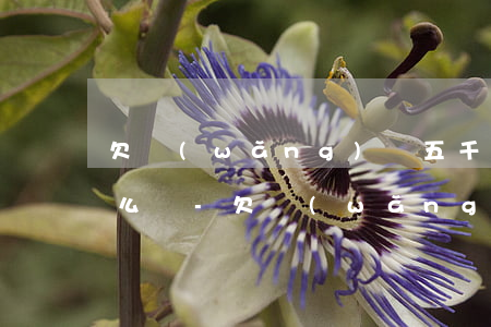欠網(wǎng)貸五千多法院劃走一萬怎么辦-欠網(wǎng)貸五千多法院劃走一萬怎么辦呢
