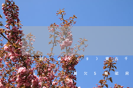 欠網(wǎng)貸五千會收房子嗎(網(wǎng)貸欠5萬能房貸嗎)
