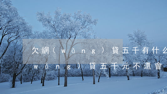欠網(wǎng)貸五千有什么后果(欠網(wǎng)貸五千元不還會(huì)怎么樣)