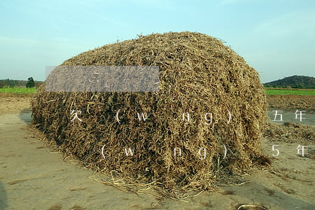 欠網(wǎng)貸五年沒還利息怎么算(欠網(wǎng)貸5年后會怎么樣)