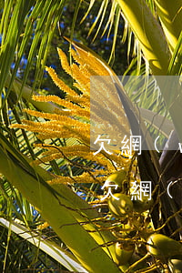 欠網(wǎng)貸五萬(wàn)不還了(欠網(wǎng)貸四五萬(wàn)還不起怎么辦)