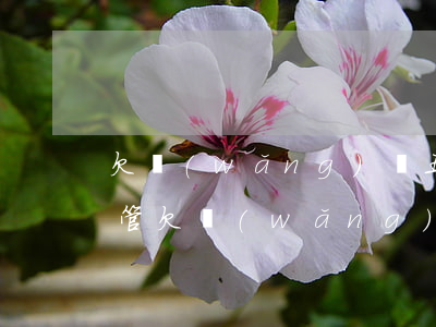 欠網(wǎng)貸五萬(wàn)父母不管(欠網(wǎng)貸五萬(wàn)父母不管)