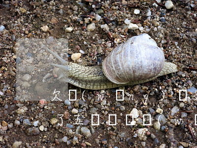 欠網(wǎng)貸五萬塊不知道怎么辦(欠了五萬塊錢網(wǎng)貸怎么辦)