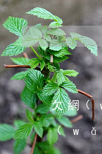 欠網(wǎng)貸五萬多塊錢怎么辦(欠網(wǎng)貸五萬多塊錢怎么辦)
