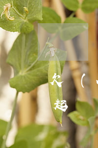 欠網(wǎng)貸五萬多會(huì)被起訴嗎(網(wǎng)貸欠五百會(huì)起訴嗎)