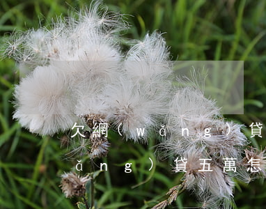欠網(wǎng)貸五萬抑郁癥(欠了網(wǎng)貸五萬怎么辦)