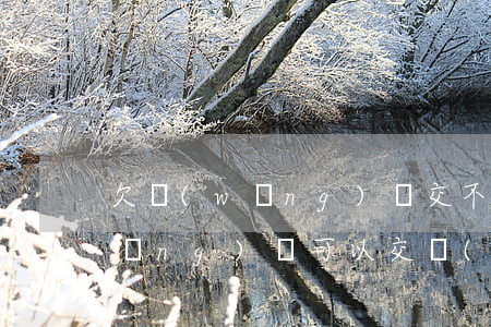 欠網(wǎng)貸交不了社保嗎(欠網(wǎng)貸可以交養(yǎng)老保險(xiǎn)嗎)
