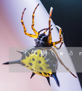 欠網(wǎng)貸交社保