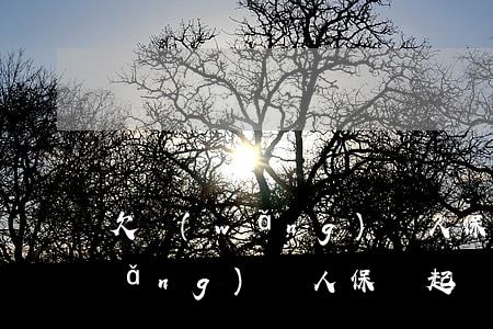 欠網(wǎng)貸人保會起訴嗎(欠網(wǎng)貸人保會起訴嗎)