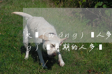 欠網(wǎng)貸人多不多(欠網(wǎng)貸逾期的人多嗎)