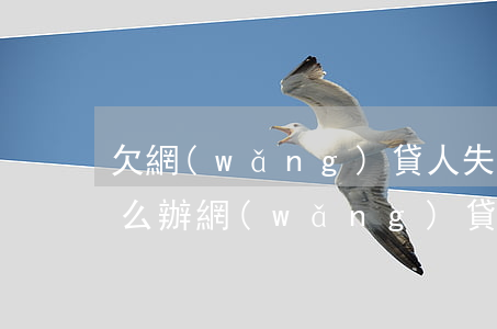 欠網(wǎng)貸人失聯(lián)怎么辦(網(wǎng)貸 失聯(lián))