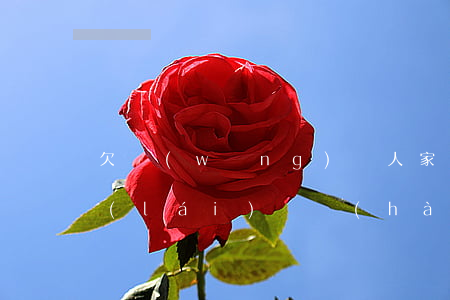 欠網(wǎng)貸人家郵過(guò)來(lái)掛號(hào)信(網(wǎng)貸逾期收到郵政寄來(lái)的掛號(hào)信)