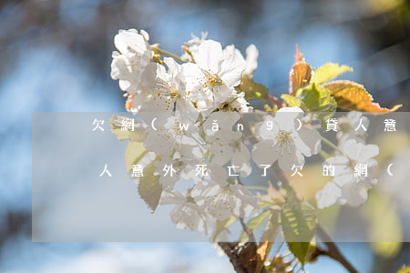 欠網(wǎng)貸人意外死亡父母要還嗎(人意外死亡了,欠的網(wǎng)貸還需要還嗎)
