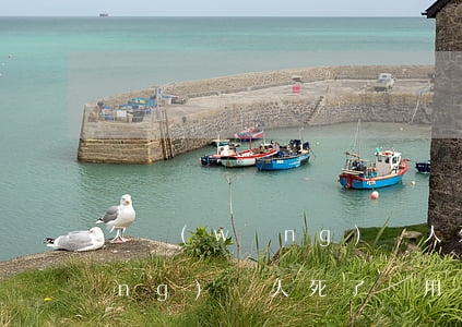 欠網(wǎng)貸人死了咋辦(欠網(wǎng)貸人死了還用還嗎)