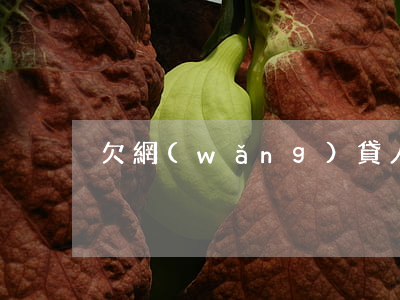 欠網(wǎng)貸人死了會怎樣