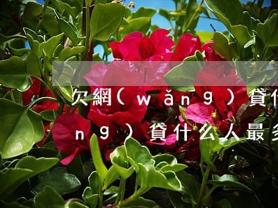 欠網(wǎng)貸什么人最多(欠網(wǎng)貸什么人最多)