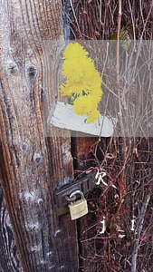 欠網(wǎng)貸什么情況下可以凍結(jié)我資金-欠網(wǎng)貸什么情況下可以凍結(jié)我資金呢