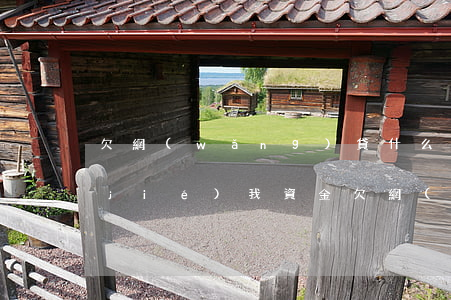 欠網(wǎng)貸什么情況下可以凍結(jié)我資金(欠網(wǎng)貸會被司法凍結(jié)嗎)