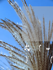 欠網(wǎng)貸什么情況下會(huì)凍結(jié)名下財(cái)產(chǎn)-欠網(wǎng)貸什么情況下會(huì)凍結(jié)名下財(cái)產(chǎn)呢