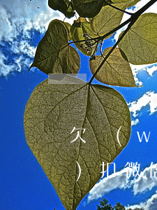 欠網(wǎng)貸什么情況下會(huì)扣微信里的錢(qián)-網(wǎng)貸會(huì)扣微信錢(qián)嗎