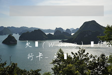 欠網(wǎng)貸什么情況下會被凍結銀行卡-欠網(wǎng)貸什么情況下會被凍結銀行卡呢