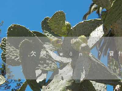 欠網(wǎng)貸什么短信是真的