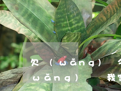 欠網(wǎng)貸今天到老家找我(欠網(wǎng)貸來我家找我了)