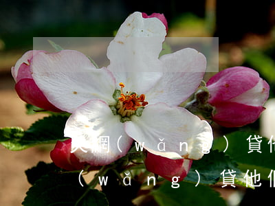 欠網(wǎng)貸他們會去你家里么(欠網(wǎng)貸他們會去你家里么)