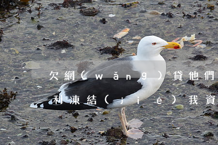 欠網(wǎng)貸他們有權(quán)利凍結(jié)我資產(chǎn)嗎(欠網(wǎng)貸他們有權(quán)利凍結(jié)我資產(chǎn)嗎)