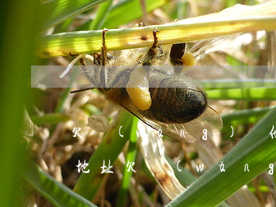 欠網(wǎng)貸他們調(diào)取地址(欠網(wǎng)貸已經(jīng)調(diào)取了真的地址)