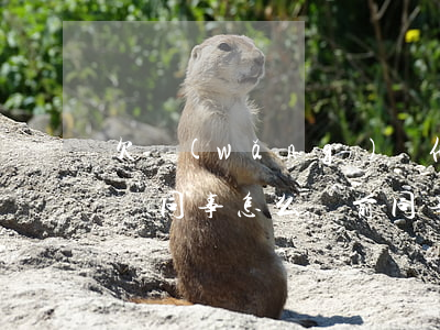 欠網(wǎng)貸他到處發(fā)信息給同事怎么辦(前同事欠網(wǎng)貸 給我打電話)