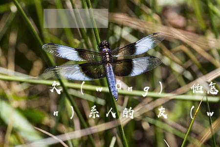欠網(wǎng)貸他怎么查到聯(lián)系人的親友(網(wǎng)貸是怎么查到朋友的朋友電話(huà))