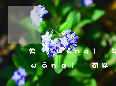 欠網(wǎng)貸 以后可以買房嗎(欠網(wǎng)貸可以貸款買房嗎?)
