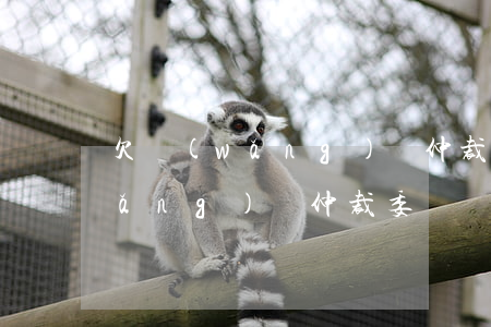 欠網(wǎng)貸仲裁了怎么辦(欠網(wǎng)貸仲裁委員會(huì)打電話)