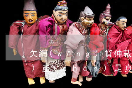 欠網(wǎng)貸仲裁我名下財(cái)產(chǎn)是真的嗎-欠網(wǎng)貸仲裁我名下財(cái)產(chǎn)是真的嗎怎么辦