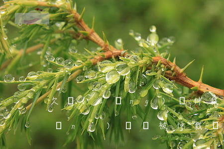 欠網(wǎng)貸仲裁會怎么樣(欠網(wǎng)貸會被仲裁嗎)