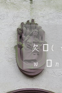 欠網(wǎng)貸但是公積金還在(欠網(wǎng)貸但是公積金還在)