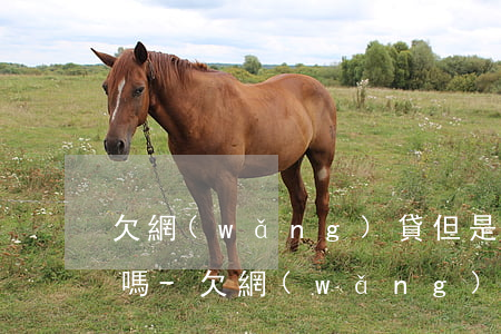 欠網(wǎng)貸但是沒有逾期會有影響嗎-欠網(wǎng)貸但是沒有逾期會有影響嗎知乎