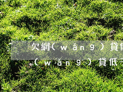 欠網(wǎng)貸低于5萬會被起訴(欠網(wǎng)貸低于5萬會被起訴)
